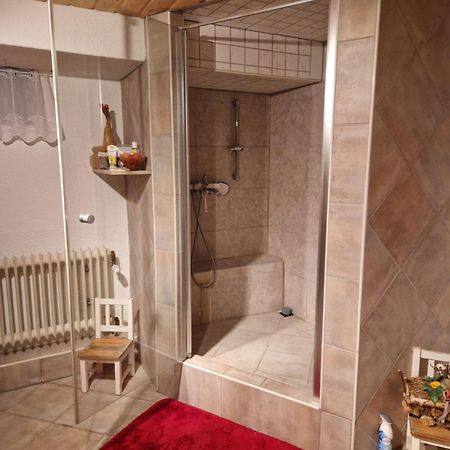 ריינשטטן Grosses Gemuetliches Zimmer Mit Eigener Dusche Und Sauna Auf Wunsch מראה חיצוני תמונה