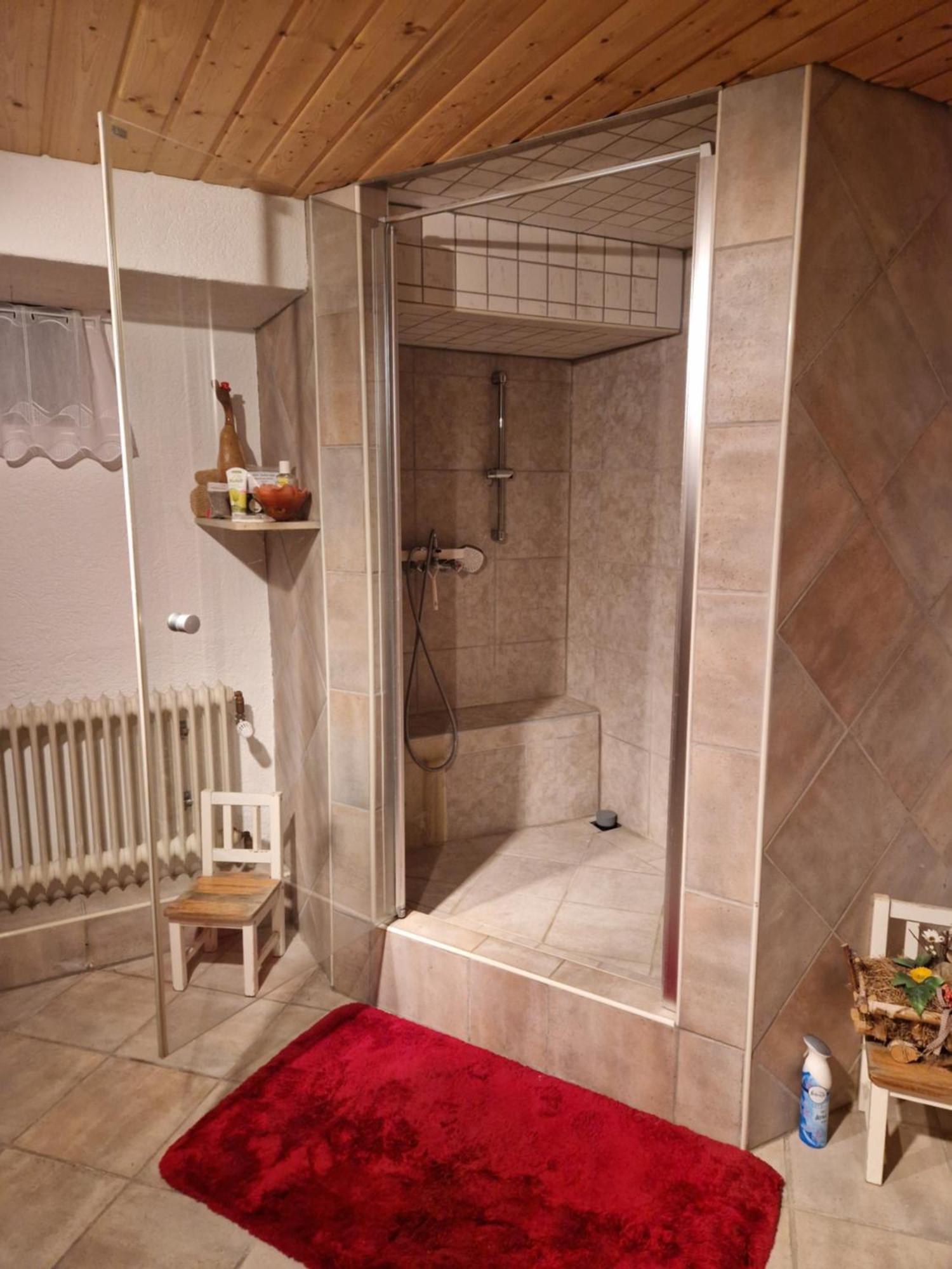 ריינשטטן Grosses Gemuetliches Zimmer Mit Eigener Dusche Und Sauna Auf Wunsch מראה חיצוני תמונה